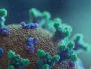 Developing Next Generation Nanoparticle Vaccines