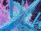 Navigating the Complexities of Advanced Therapeutic Medicinal Products: The Critical Role of Specialized CDMOs