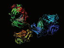 The Future of  Bispecific Antibodies