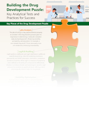 Building the Drug Development Puzzle: Key Analytical Tests and Practices for Success