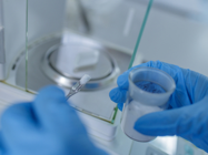 Understanding Drug Delivery from Spectroscopic Insights