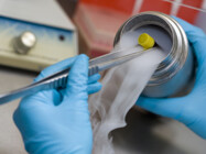 Freeze-Dried Future: How Lyophilization Is Unlocking Cool Innovations in Pharma