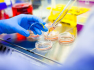 Lifting the Lid on Biopharmaceutical Manufacturing: Unlocking New Possibilities in Media and Buffer Preparation