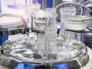 Advancing Microbial Fermentation for Innovative Biologics