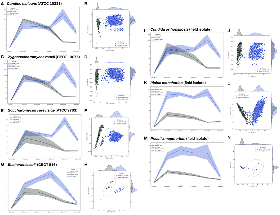 Figure 2: Viable versus dead cell modelling