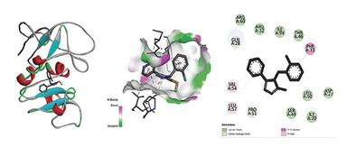 625060_Fig6_2.jpg
