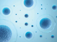 Prepacked Chromatography Columns to Support Lean Manufacturing Efforts for Biotherapeutics