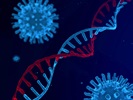 [Article Title]