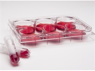 Cell Culture Media Supplements