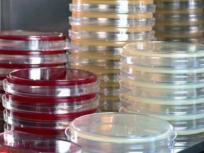 Cell Culture Technologies and Products