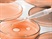 Cell Lines