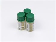 Mycoplasma Detection and Testing