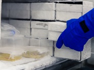 Pharmaceutical Freeze Dryers