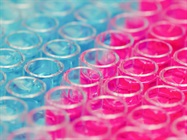 Pharmaceutical Testing