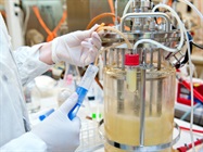 Single-Use Bioreactors
