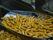 Pharmaceutical Capsule Filling Machine