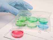 Cell Analyzers