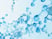 Bioinformatics Analysis