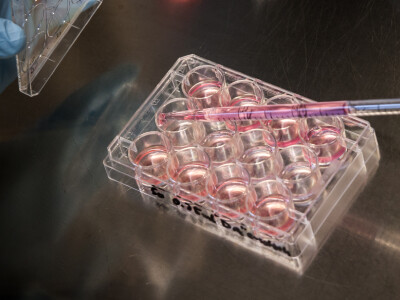 Pharmaceutical Media Analyzer