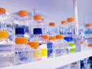 Pharmaceutical Labware and Supplies