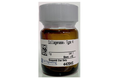 Collagenase, Type 4