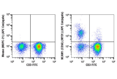 Human Natural Killer Cell Markers Flow Cytometry Panel