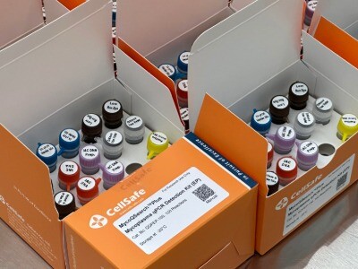 MycoQSearch™ Plus Mycoplasma qPCR Detection Kit