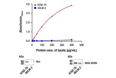 PathScan® RP Src Sandwich ELISA Kit