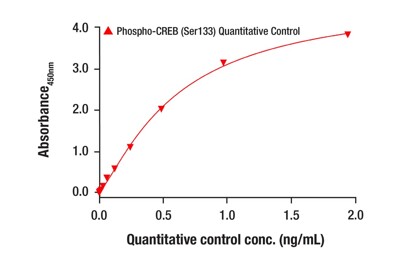 Phospho-CREB (Ser133) Quantitative Control