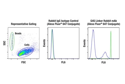 Posibeads™ G4S Linker Positive Control Beads