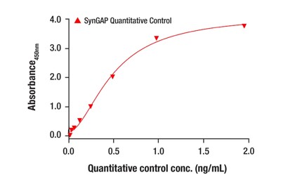 SynGAP Quantitative Control